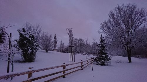 Trees on snow covered field against sky