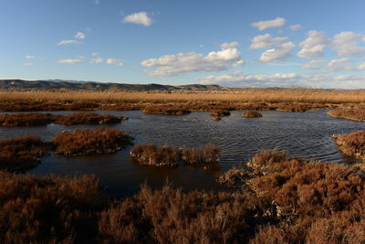 Scenic view of lake against sky