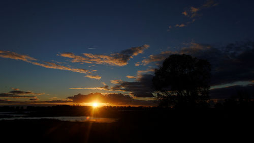 Silhouette trees against sky during sunset