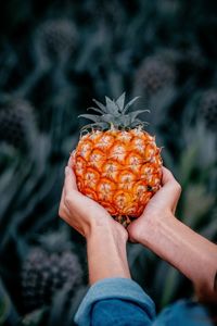 Midsection of person holding fruit