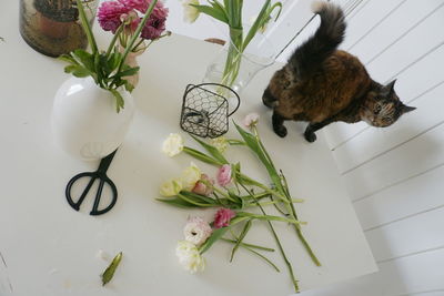 Tilt shot of cat by flowers on white table