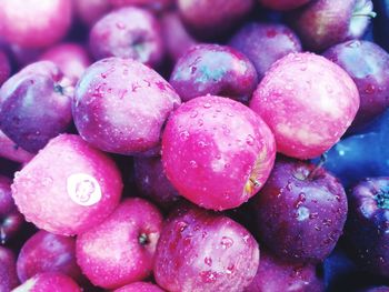 Close-up of wet cherries