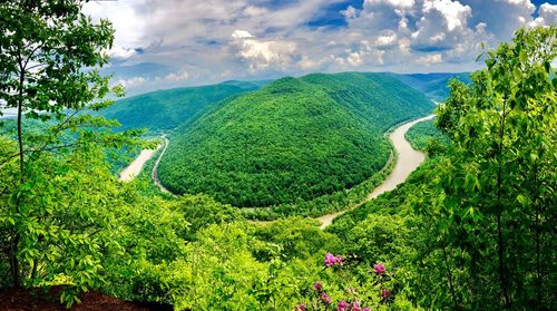 High angle view of land and trees against sky