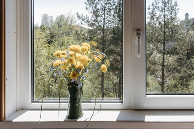 Beautiful bouquet of yellow dandelions in clay vase standing on windowsill by open window 