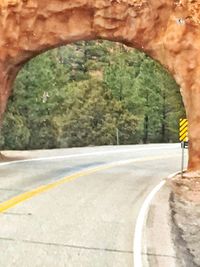 Road by trees