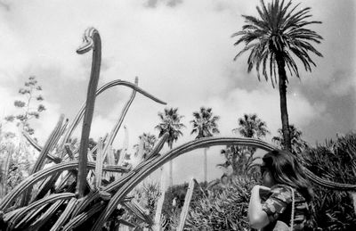 Low angle view of palm trees against sky