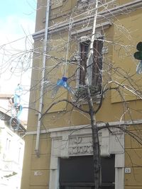 Low angle view of bare tree against building