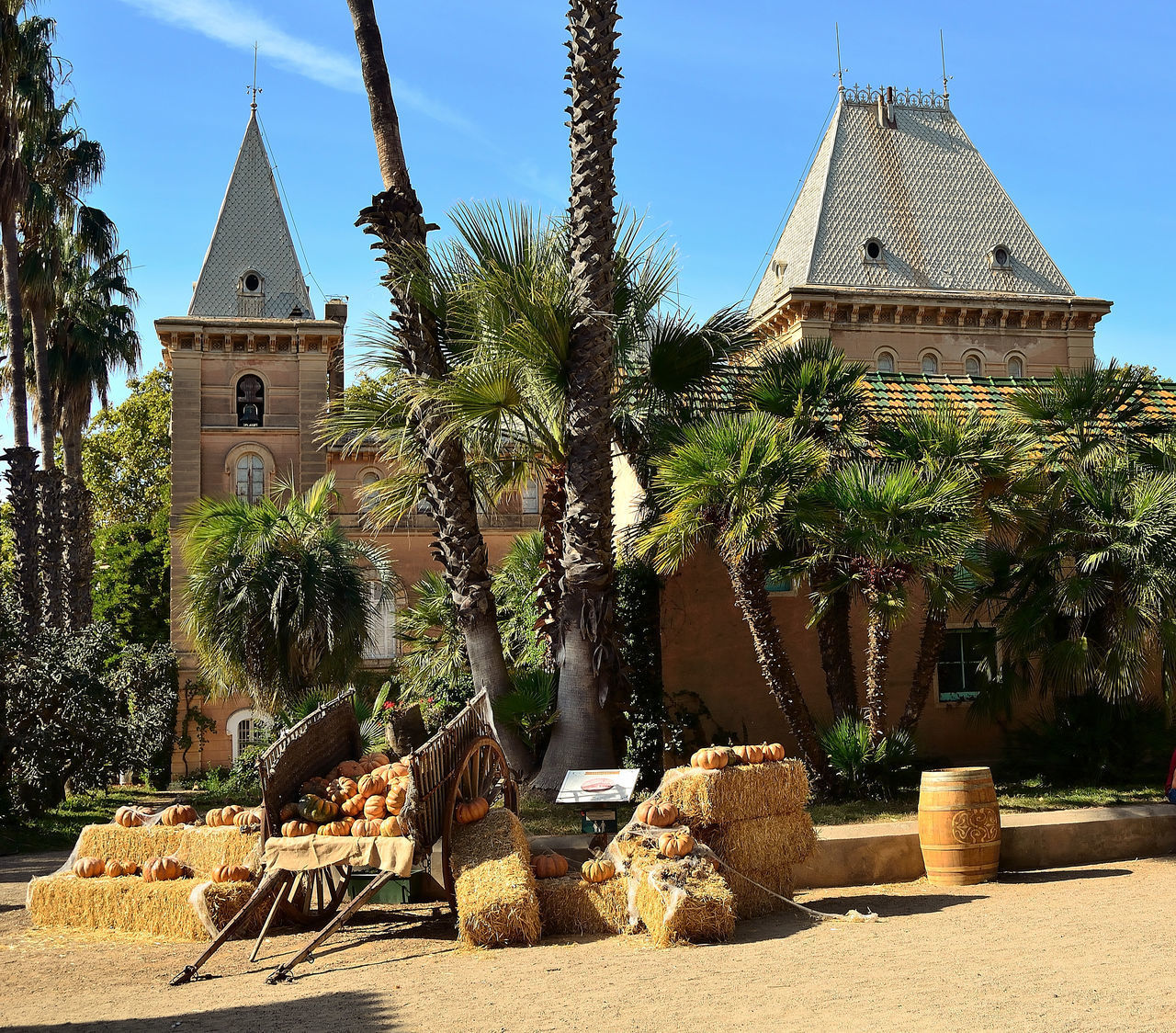 PALM TREES AND BUILDING AGAINST SKY