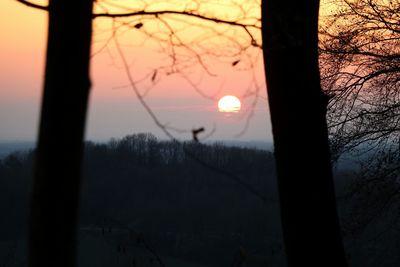 Close-up of silhouette bare tree against sky at sunset