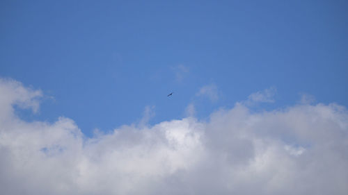 Low angle view of bird flying in sky