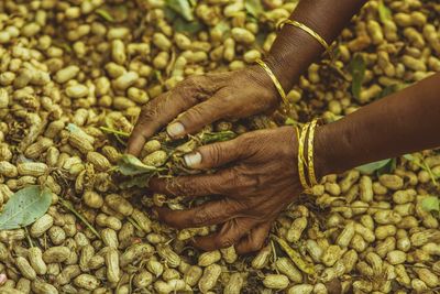 Close-up of hand holding corn