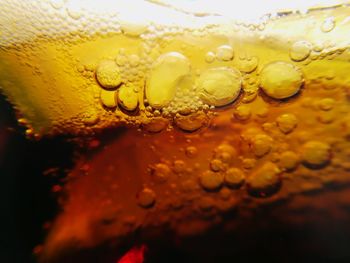 Close-up of wet glass