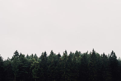 Low angle view of trees against clear sky