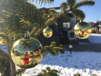 Christmas decorations hanging on tree