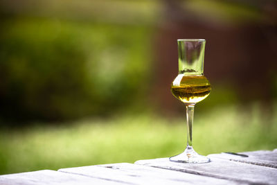 Close-up of wine in glass on table