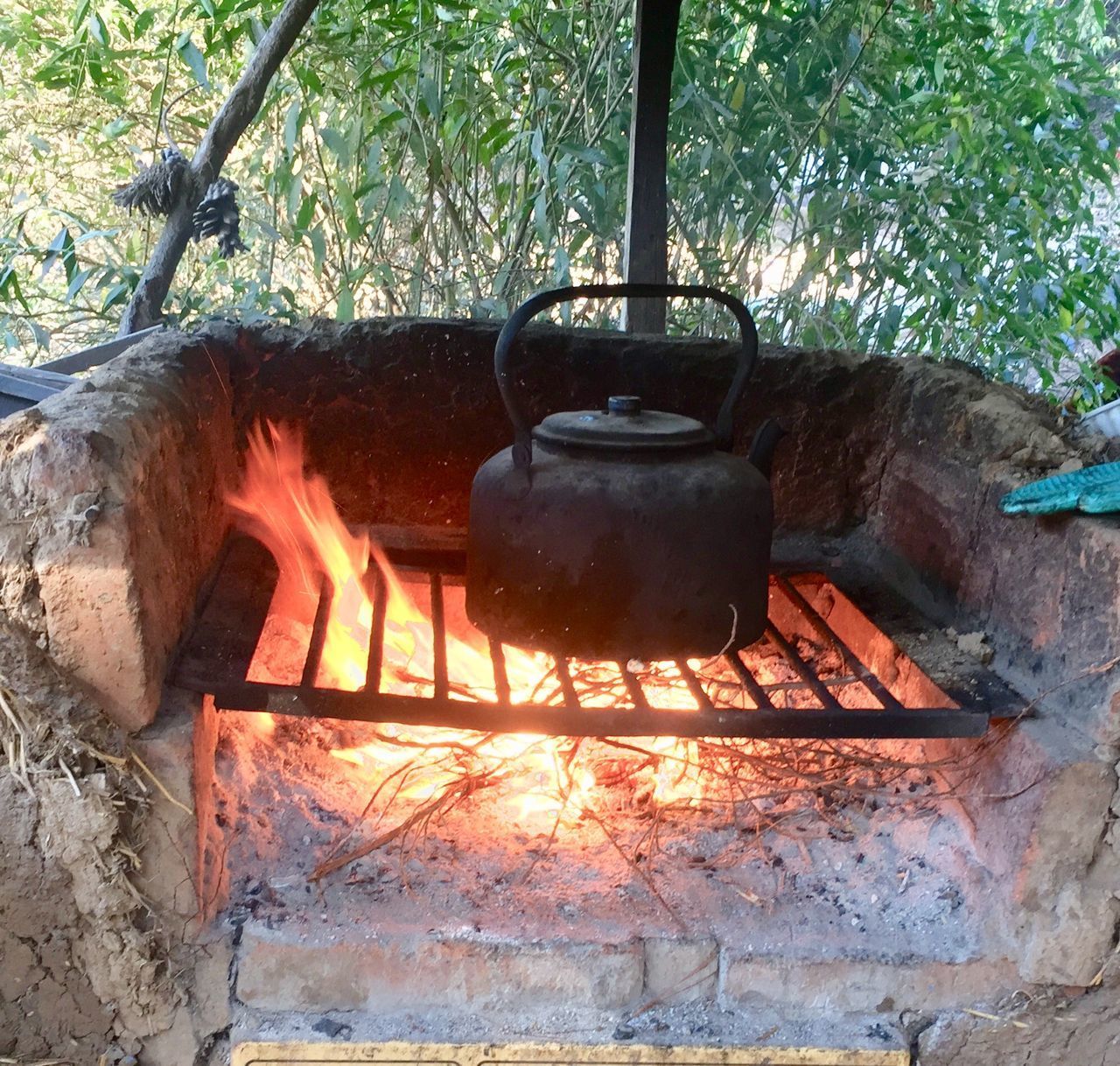 CLOSE-UP OF BONFIRE WITH TREE