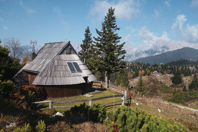 Trees and plants growing on land against sky