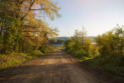 Road amidst trees against sky