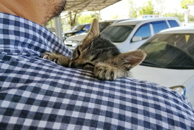 Low section of person with cat on car