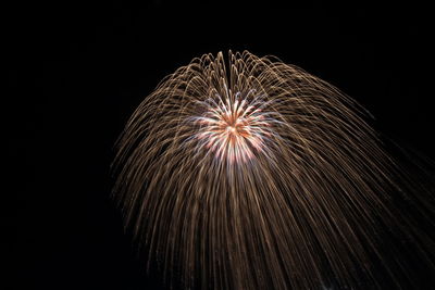 Low angle view of firework display at night