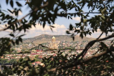 View of trees and buildings in city