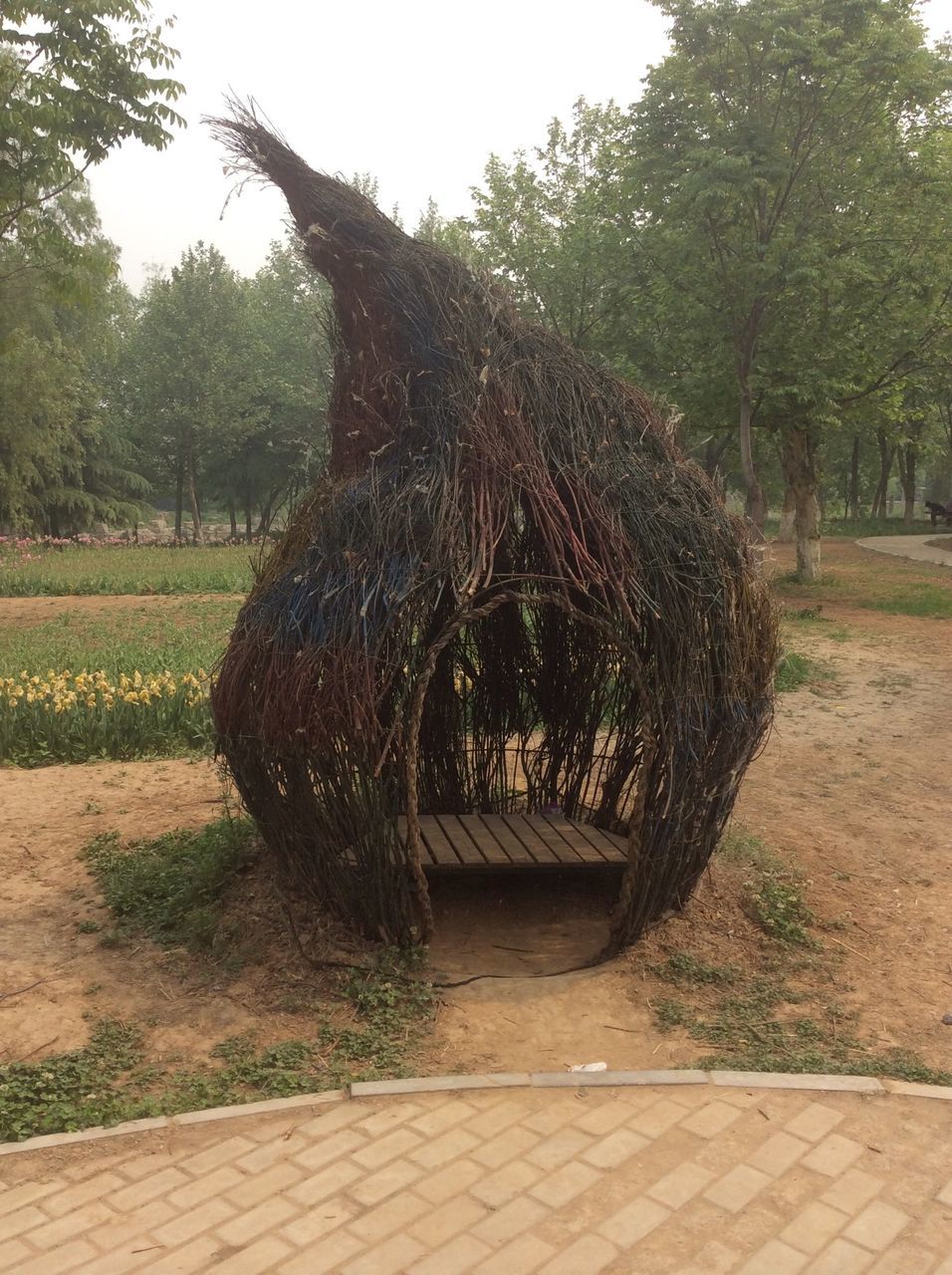 tree, grass, park - man made space, sunlight, tranquility, shadow, growth, nature, landscape, field, day, outdoors, tranquil scene, tree trunk, one animal, park, wood - material, no people, footpath, beauty in nature