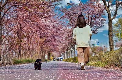 Rear view of woman with dog on road