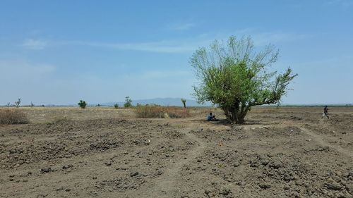 View of nigerian countryside