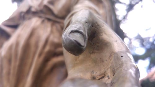 Low angle view of horse statue