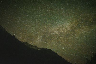 Low angle view of star field against sky at night