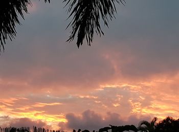 Low angle view of silhouette trees against romantic sky