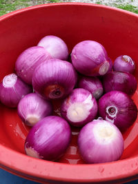 High angle view of eggs in container