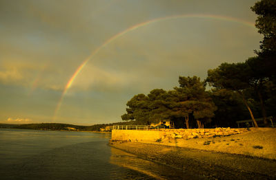 Rainbow over trees against sky