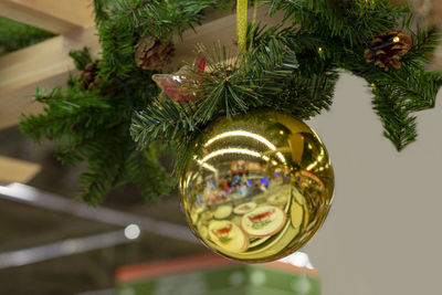 Close-up of christmas decoration hanging on tree