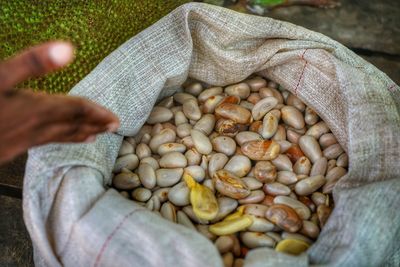 High angle view of hand with seeds