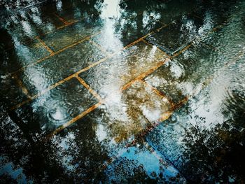 Reflection of trees in puddle