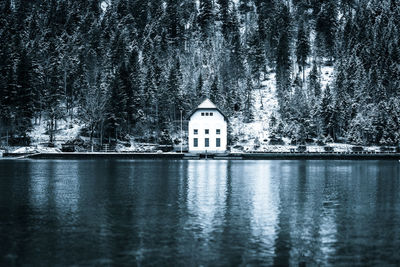 Scenic view of lake in forest