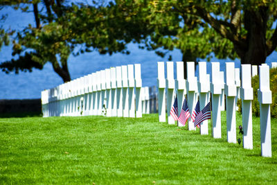 View of flags on field