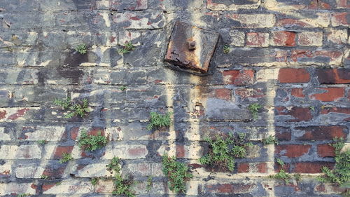 Full frame shot of weathered wall