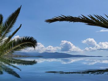 Scenic view of palm trees against blue sky