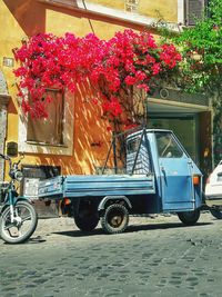 Bicycles on street