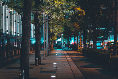 Footpath amidst trees in city at night