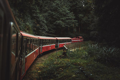 Train in forest