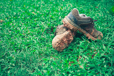 High angle view of shoes on field