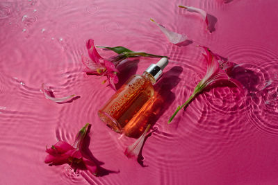 High angle view of bottles on table