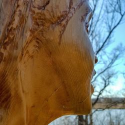 Low angle view of bare tree against sky during winter