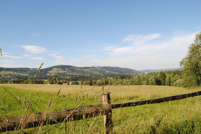 Scenic view of field against sky