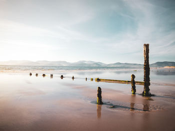 Scenic view of wooden posts in lake against sky