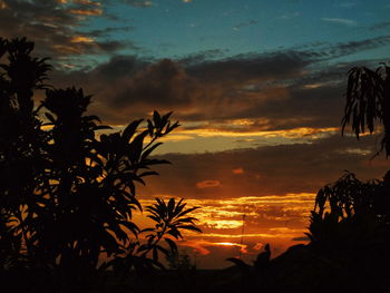 Silhouette of palm trees against cloudy sky