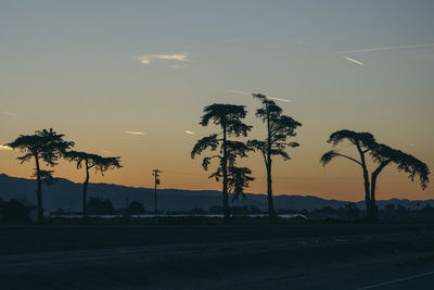 Silhouette palm trees against sky during sunset